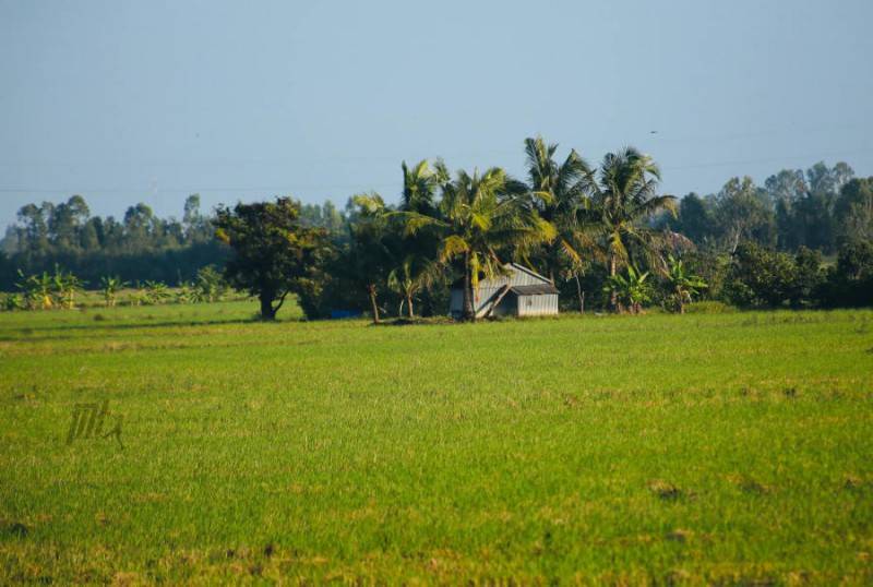 Lang thang An Giang khám phá miền quê thanh bình vào mùa nước nổi