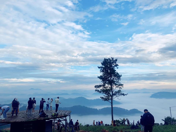 Cầu gỗ săn mây Đà Lạt - Tiên cảnh tuyệt đẹp của vùng cao