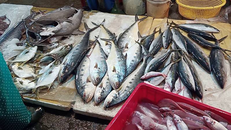 Chợ cá Thanh Hà Hội An - Chợ hải sản tươi sống ngon nhất phố cổ