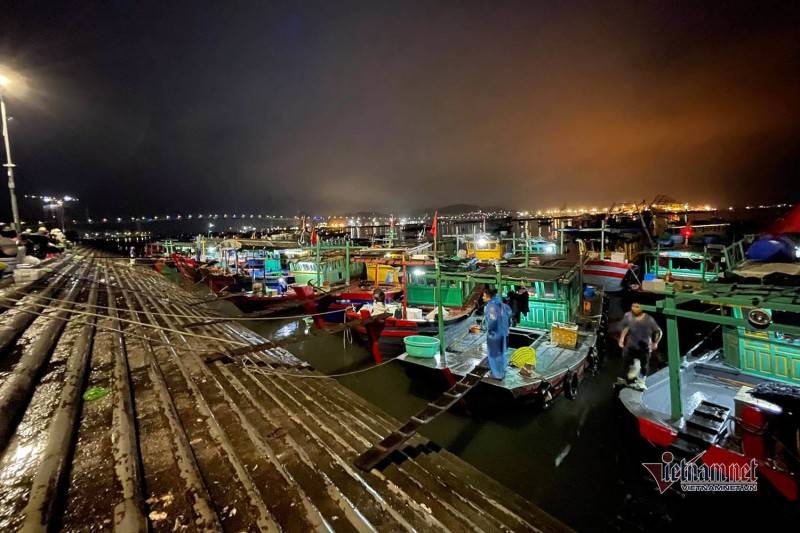 Chợ hải sản Hòn Gai - Chợ đầu mối nổi tiếng thành phố Hạ Long