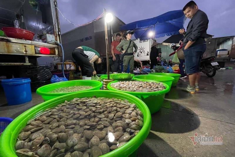 Chợ hải sản Hòn Gai - Chợ đầu mối nổi tiếng thành phố Hạ Long