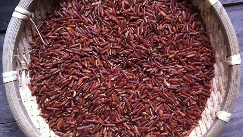 Cơm gạo đỏ Phú Yên - Loại gạo đặc biệt tại khu vực vùng núi Phú Yên