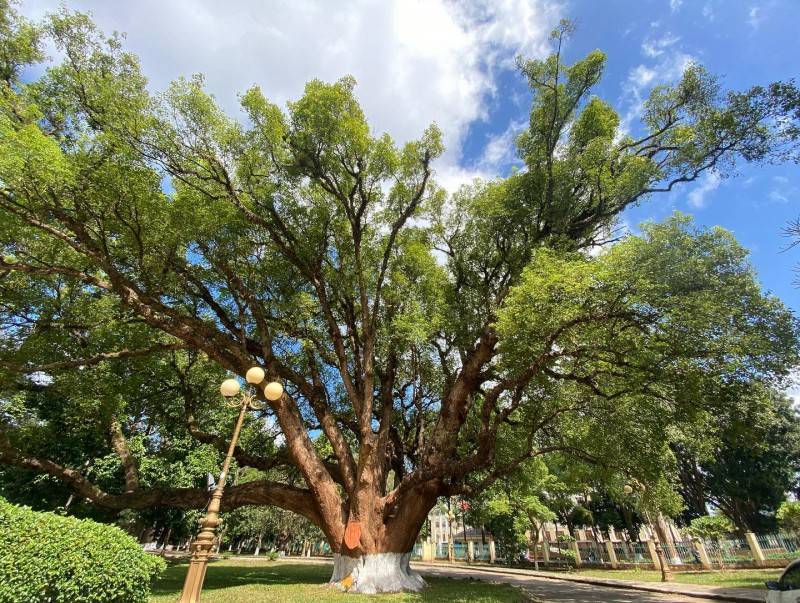 Đến Biệt điện Bảo Đại, làm ngay 'pô' ảnh đẹp ngất ngây