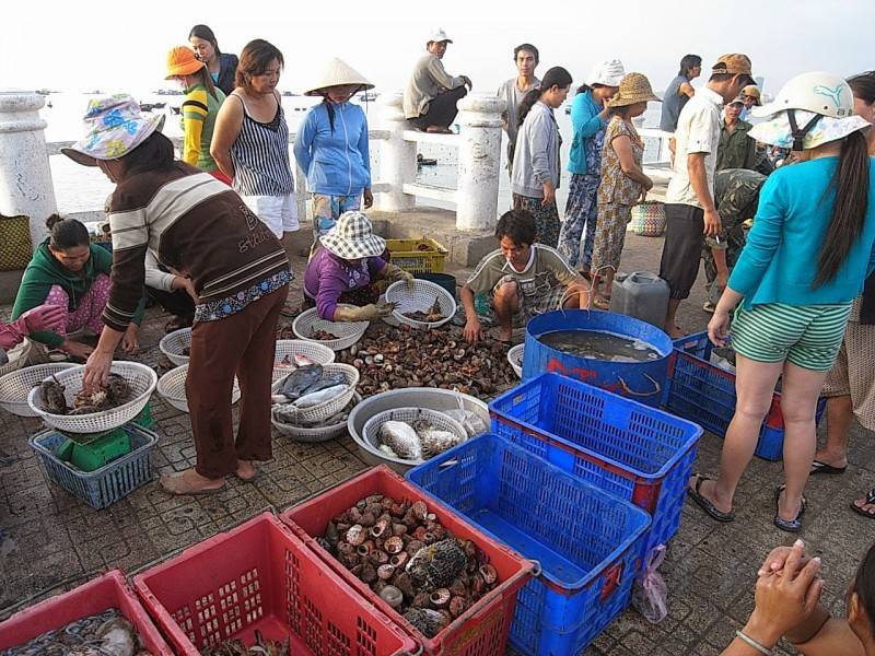 Đừng bỏ qua kinh nghiệm mua hải sản Nha Trang chất lượng