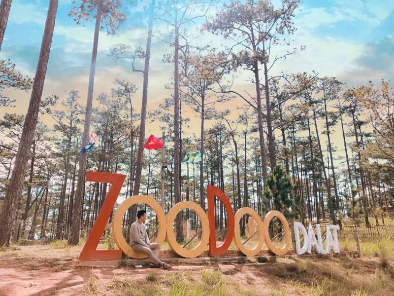 Khám phá Zoodoo Đà Lạt – Vườn thú thân thiện mang phong cách Úc cực thú vị
