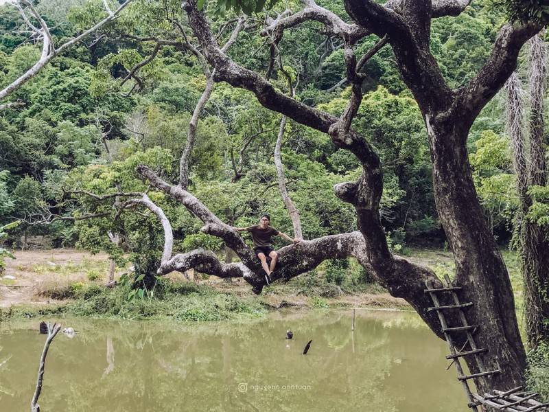 Kinh nghiệm đi Nhất Lâm Thủy Trang Trà - Khám phá vẻ đẹp thiên nhiên hoang sơ đầy thi vị