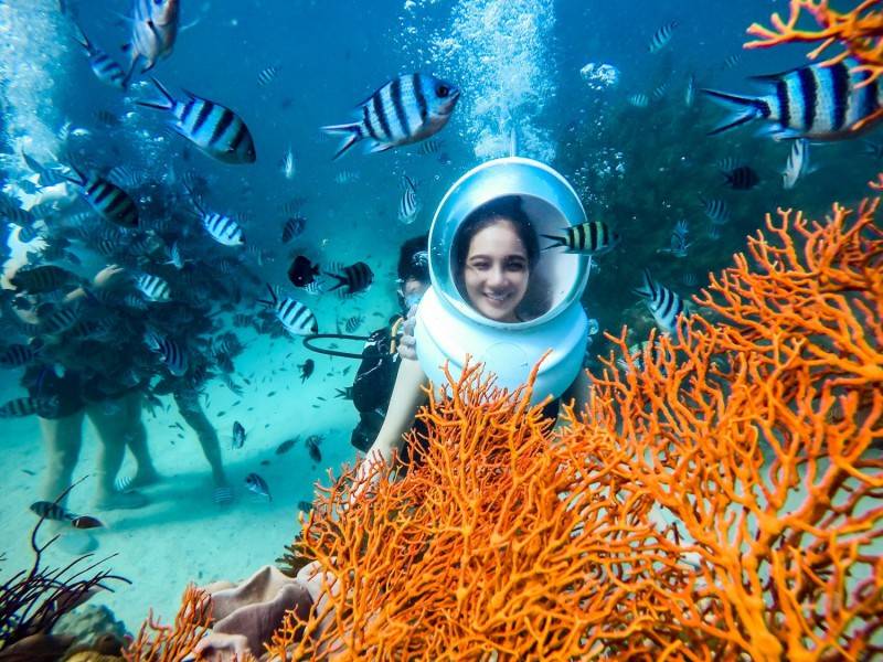 Lặn biển ngắm san hô - Khám phá vẻ đẹp ẩn mình của đại dương Phú Quốc