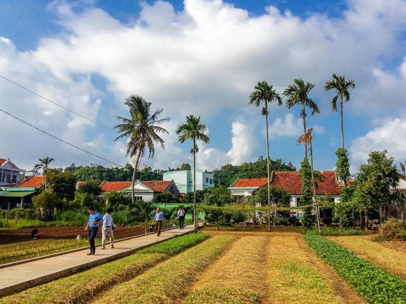 Làng rau Ngọc Lãng - Trải nghiệm đầy thú vị tại vườn rau sạch rộng lớn nhất Phú Yên