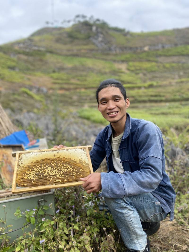 Mật ong bạc hà Hà Giang - 'Thực phẩm vàng' nơi cao nguyên đá