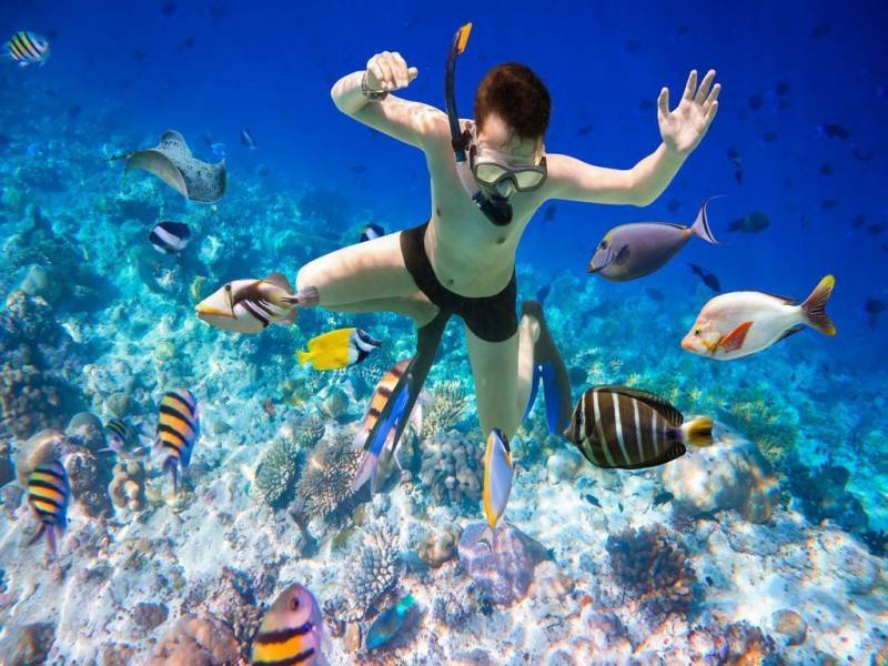 Sealife Nha Trang - Khám phá những hoạt động vui chơi trên biển cực hoành tráng tại Nha Trang