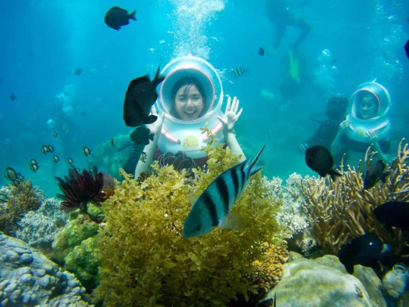 Sealife Nha Trang - Khám phá những hoạt động vui chơi trên biển cực hoành tráng tại Nha Trang