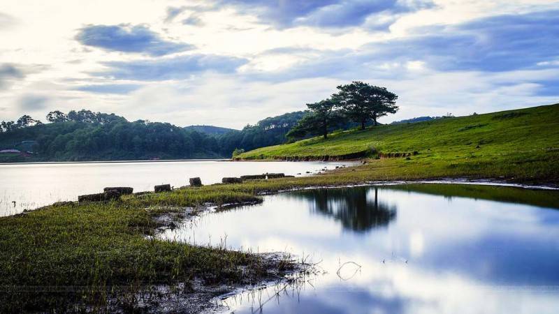 Thung lũng Vàng - thung lũng đầy thơ mộng tại cao nguyên Lâm Viên