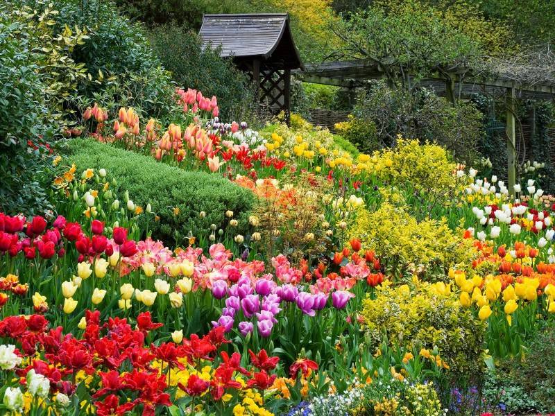 Vườn hoa Đà Lạt – Toạ độ check-in tựa nàng thơ giữa trời Đà Lạt mơ mộng