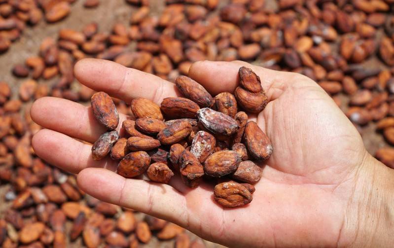 Bạn đã thử chưa Cacao Mười Cương thơm ngon chỉ có tại Tây Đô?