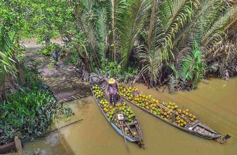 Bộ ảnh review xứ dừa Bến Tre với vẻ đẹp bình yên miền thôn dã