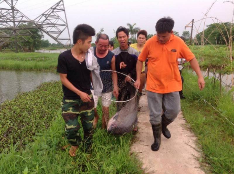 Bỏ túi kinh nghiệm câu cá tự nhiên ở Hà Nội cùng 3vi.vn