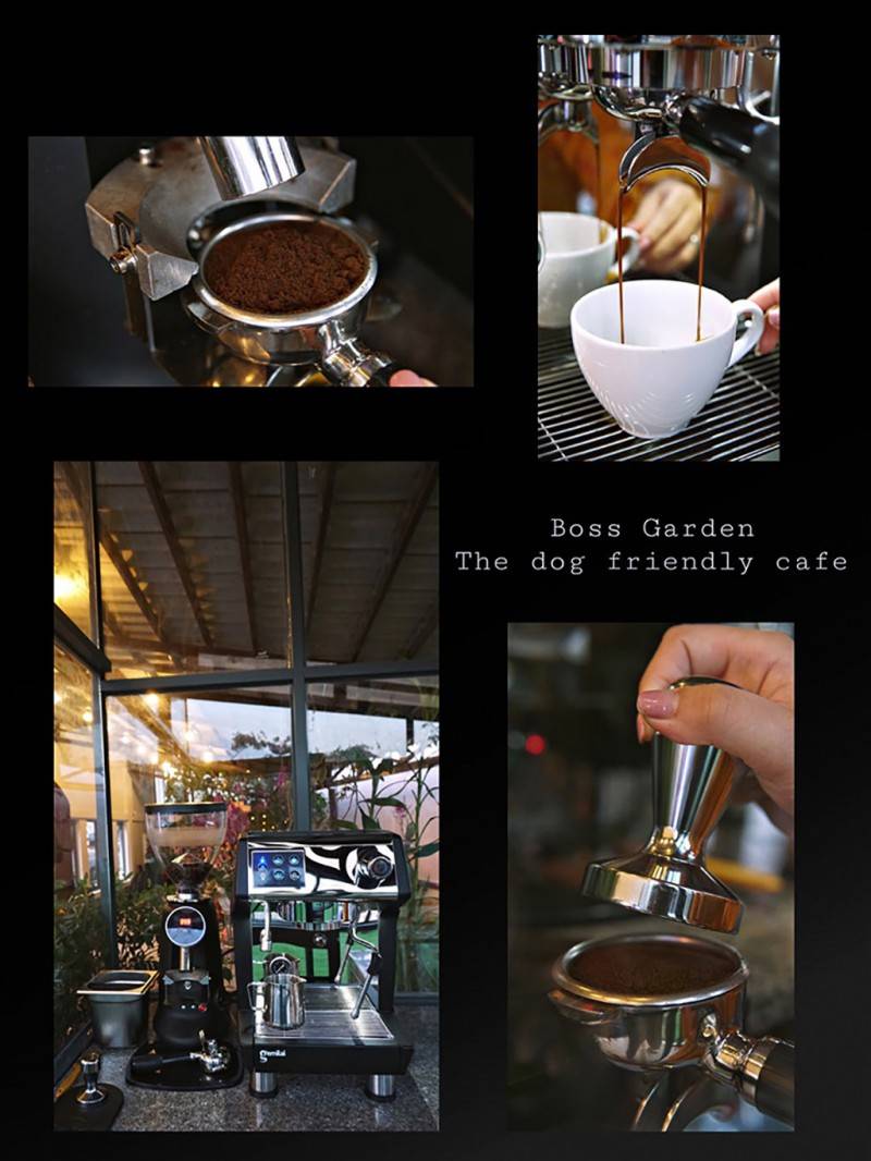 Cafe Boss Garden, quán cà phê thú cưng độc đáo tại Bảo Lộc