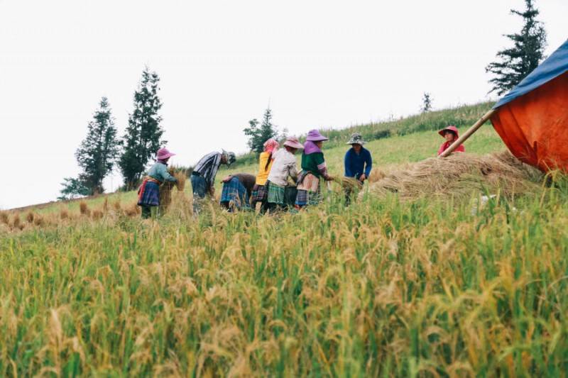 Cắm trại tại Thảo nguyên Suôi Thầu bình yên và thơ mộng