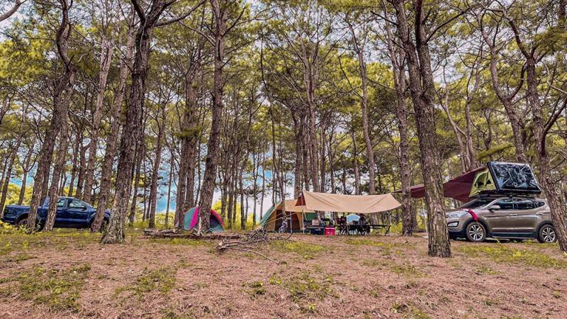 Camping ở đồi thông Diên Phú, hoạt động phải thử 1 lần khi đến Gia Lai