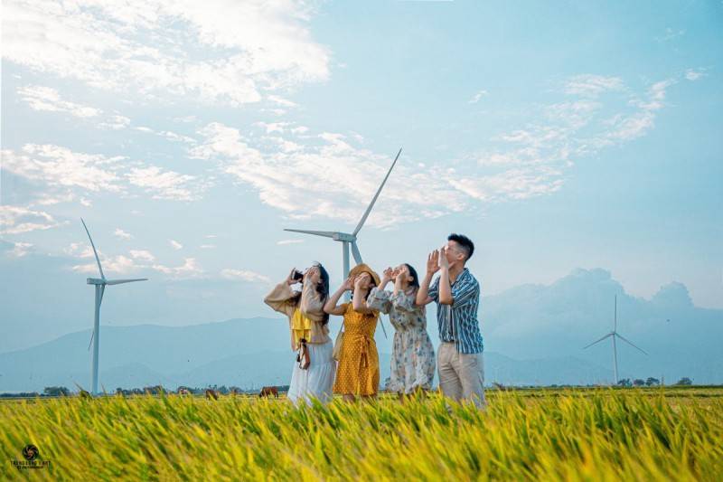 Cánh đồng điện gió Đầm Nại, bản hòa tấu của gió giữa đất trời Ninh Thuận