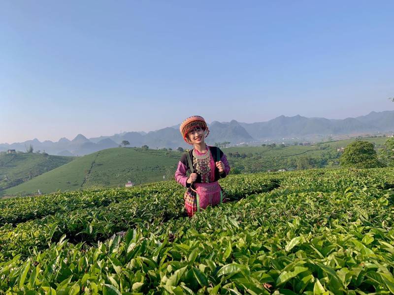 Check in Mộc Châu, dấu ấn nổi bật trong hành trình tuổi trẻ