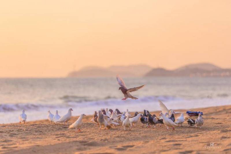 Check-in Nha Trang cùng những cảnh biển ngây ngất lòng người