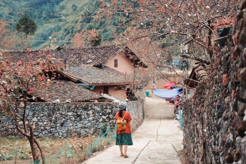 Chi phí du lịch Hà Giang tự túc dành cho 1 người