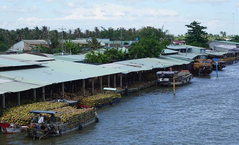 Chợ nổi Dừa trên sông Thom độc nhất vô nhị ở vùng Nam Bộ