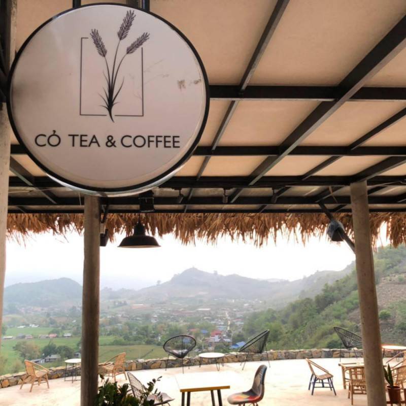 Cỏ Tea &amp; Coffee - Thưởng thức cà phê giữa lưng chừng đồi