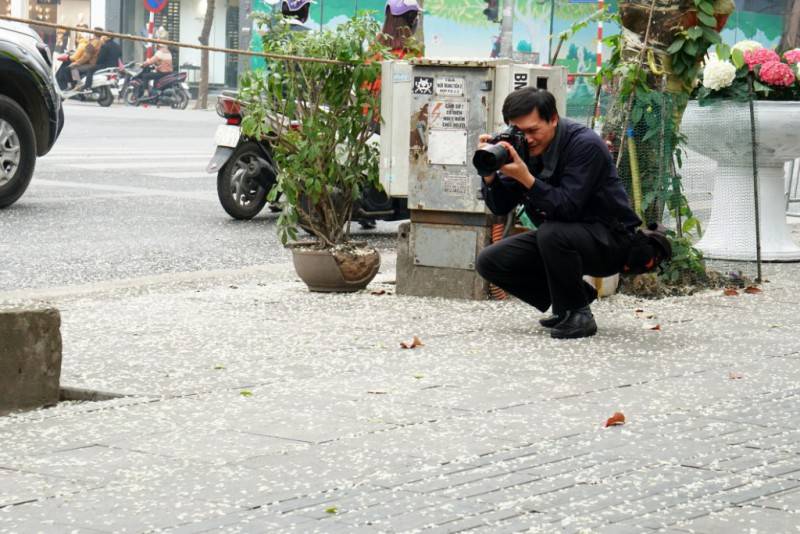 Còn gì bằng đắm mình giữa mùa hoa sưa Hà Nội