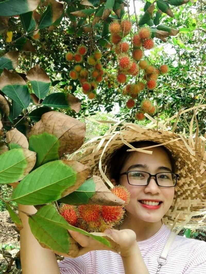 Cùng review Vườn chôm chôm Hoàng Tuấn với cô nàng xinh đẹp Lê Huyền Nhi