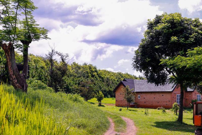 Dalat Milk Farm - Nông trại bò sữa nổi tiếng với cảnh sắc thiên nhiên thơ mộng