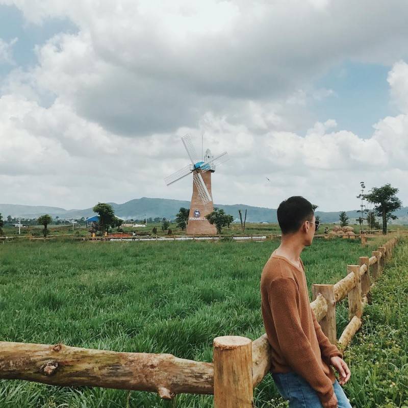 Dalat Milk Farm - Nông trại bò sữa nổi tiếng với cảnh sắc thiên nhiên thơ mộng