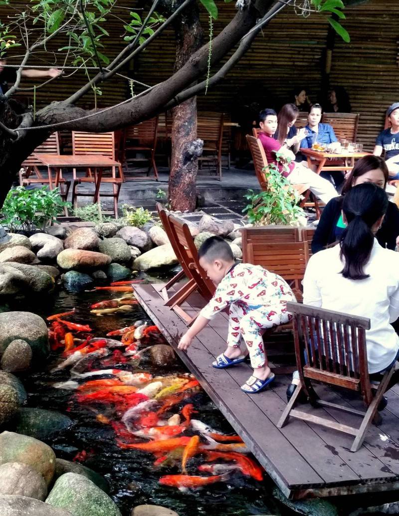 Đắm chìm vào thiên nhiên cực chill ở quán Nia Cafe Đà Nẵng