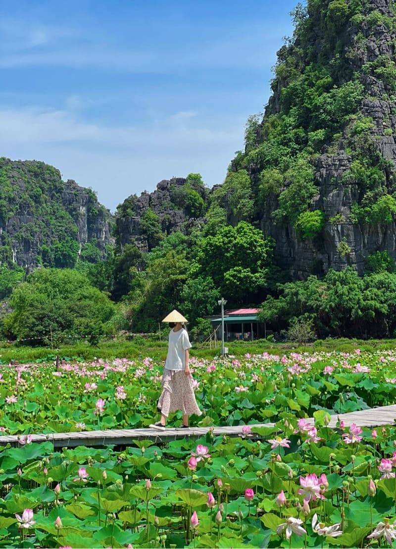 Đầm sen Hang Múa, điểm đến với vẻ đẹp thơ mộng tại Ninh Bình