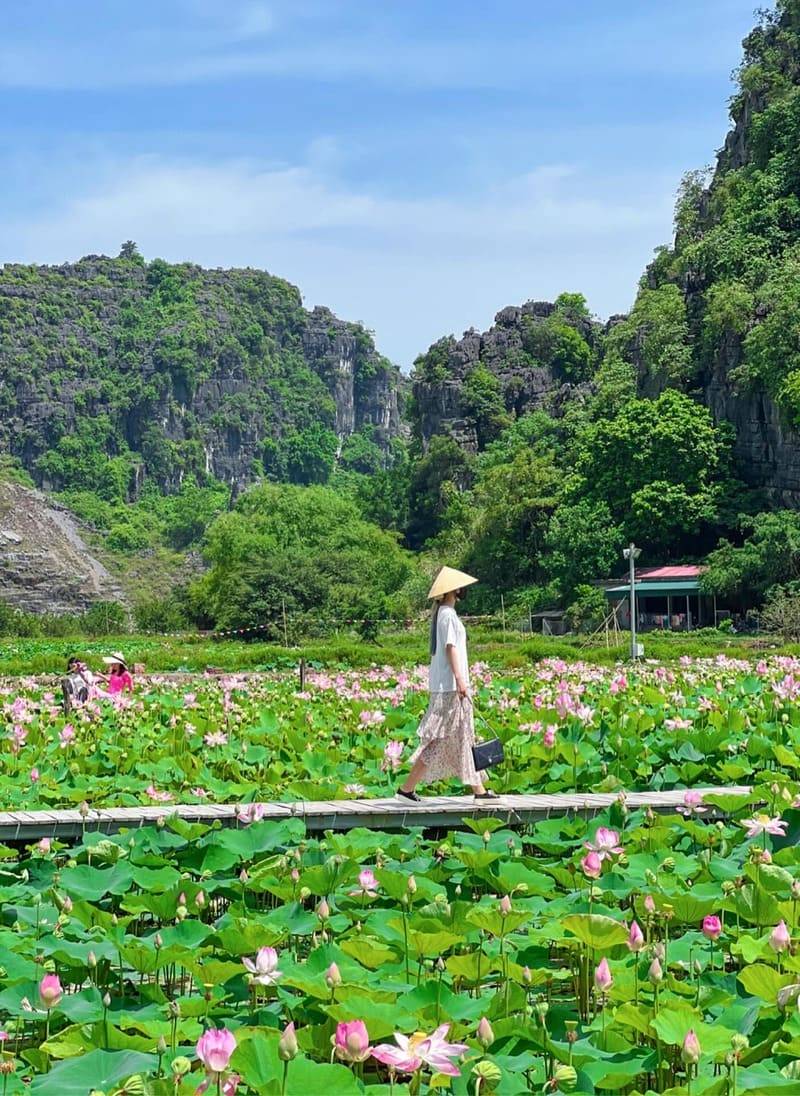Đầm sen Hang Múa, điểm đến với vẻ đẹp thơ mộng tại Ninh Bình