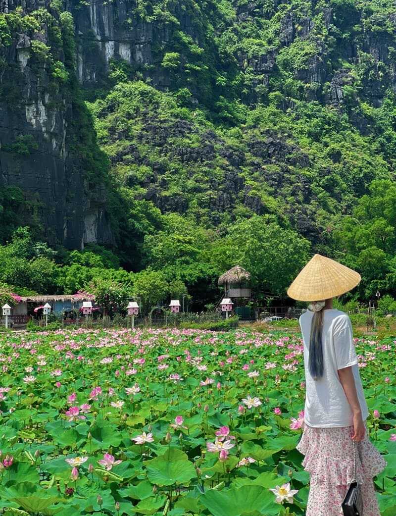 Đầm sen Hang Múa, điểm đến với vẻ đẹp thơ mộng tại Ninh Bình