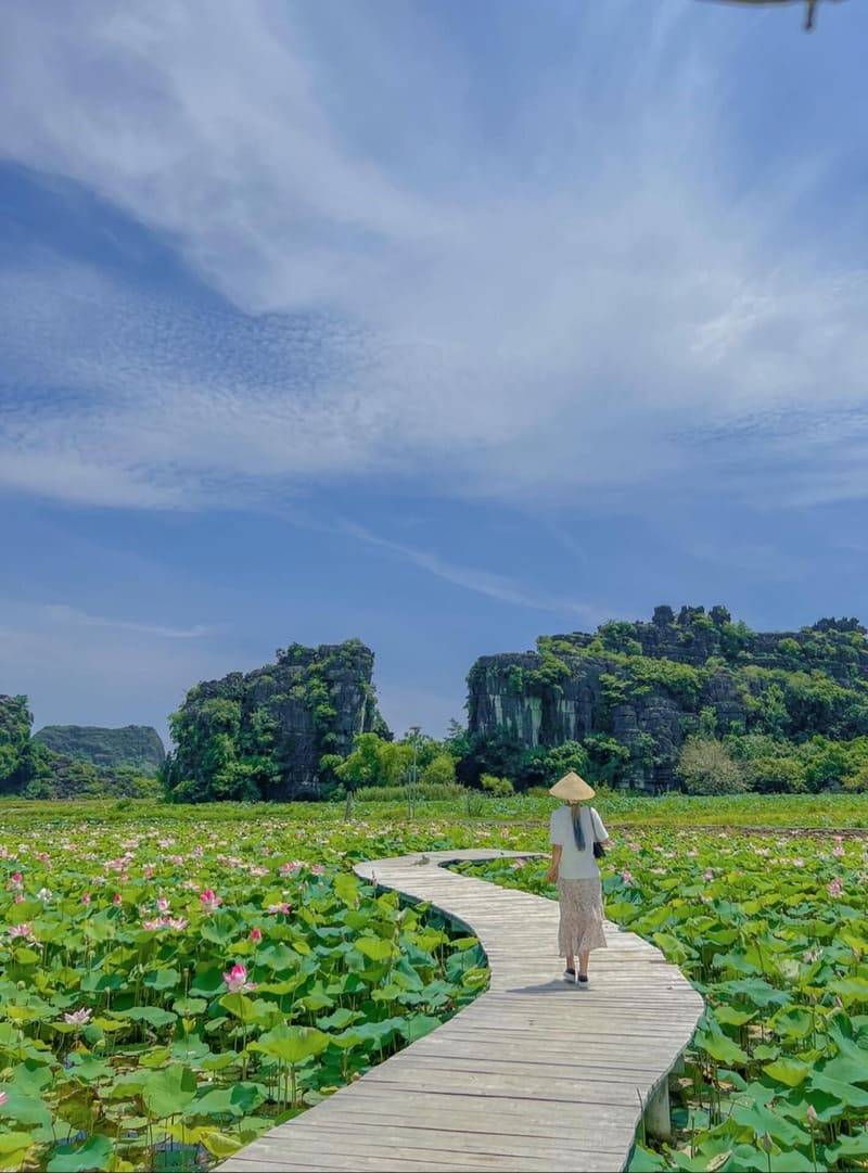 Đầm sen Hang Múa, điểm đến với vẻ đẹp thơ mộng tại Ninh Bình