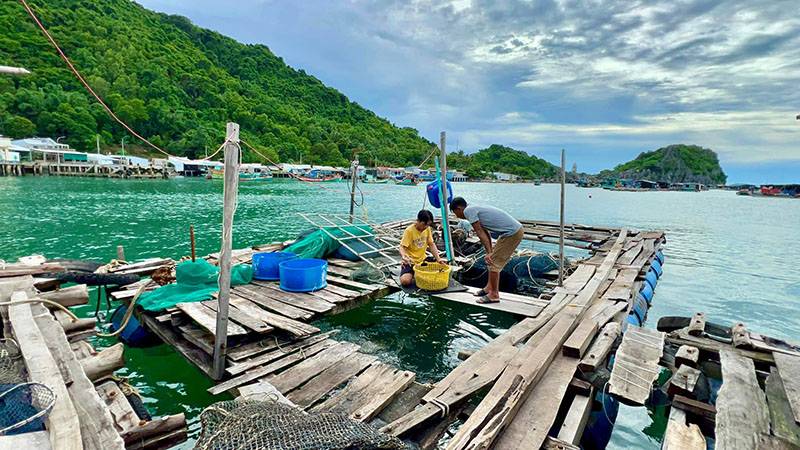 Đảo Hòn Nghệ, viên ngọc thô ẩn mình giữa xứ biển Kiên Giang
