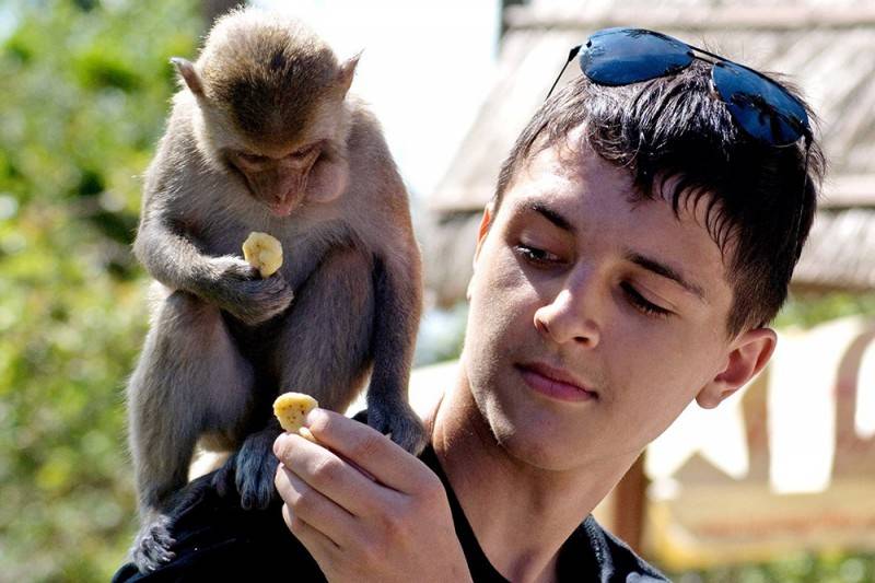 Đảo Khỉ Nha Trang - Vương quốc của hơn 1500 chú khỉ