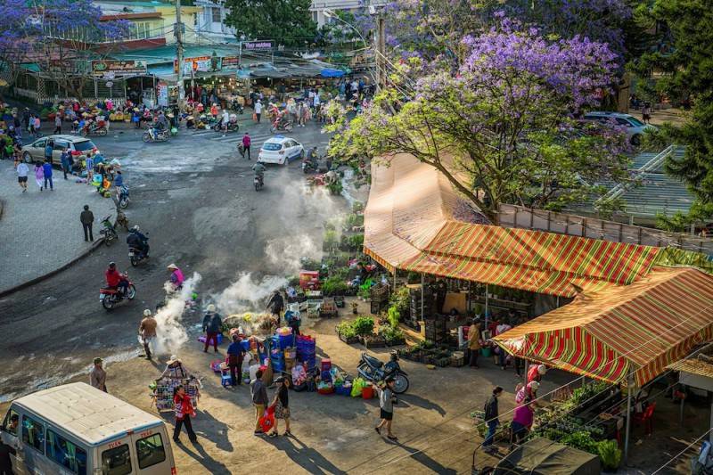 Đến Đà Lạt thì nhớ đến vào mùa hoa phượng tím Đà Lạt nhé bạn ơi