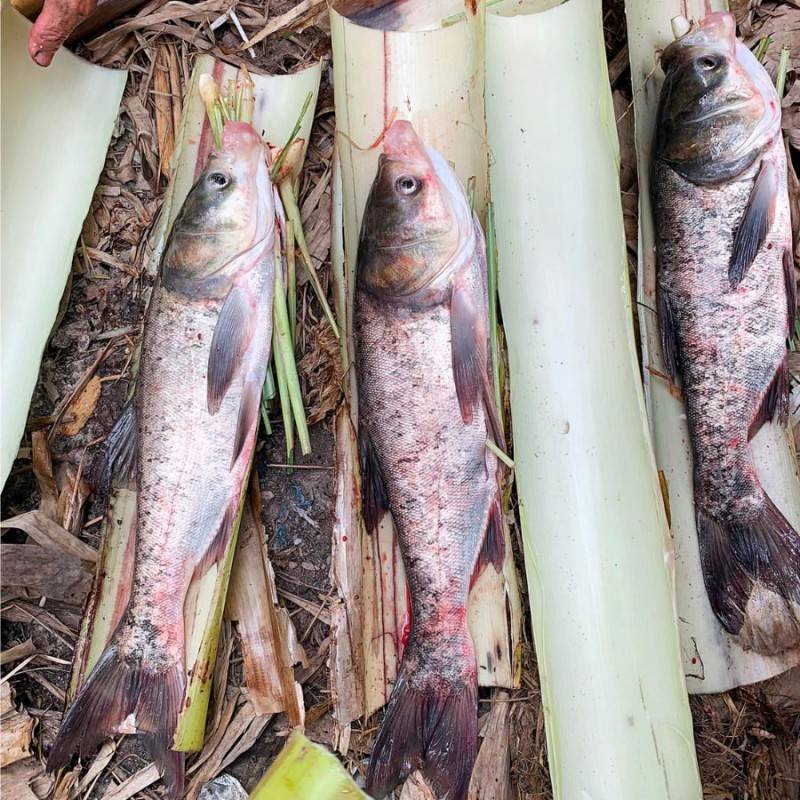 Đến huyện Trần Văn Thời Cà Mau trải nghiệm đánh bắt cá tôm thú vị