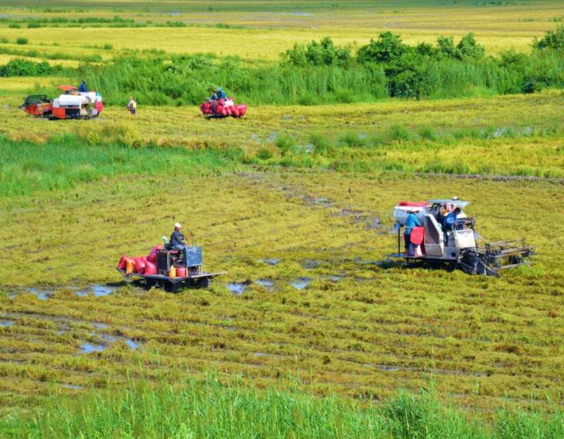 Đi Cà Mau mùa nào đẹp, cùng tìm hiểu ngay với 3vi.vn