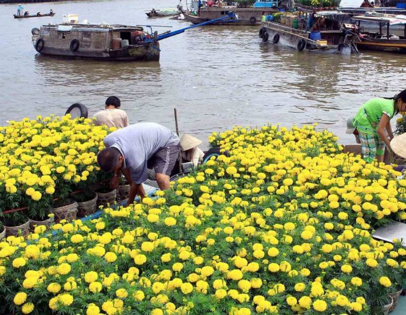 Đi Cà Mau mùa nào đẹp, cùng tìm hiểu ngay với 3vi.vn