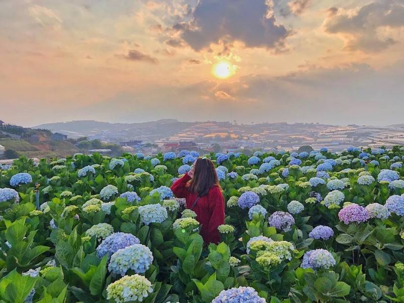 Đi Đà Lạt dịp tháng Tư chiêm ngưỡng muôn hoa khoe sắc