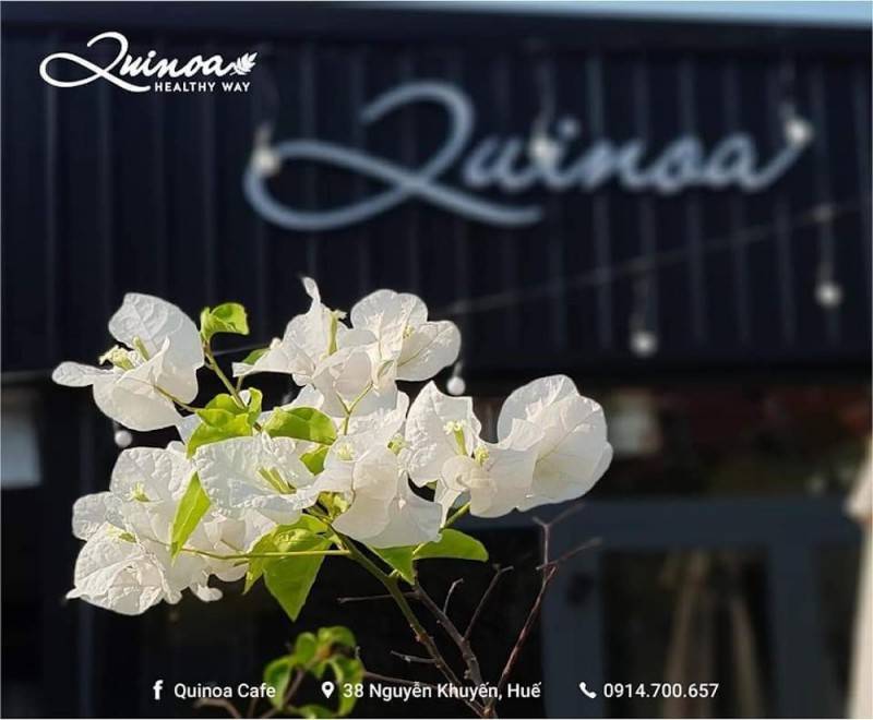 Dịch không vi vu nước ngoài được thì ghé Quinoa Café để có ảnh check-in như ở trời Tây