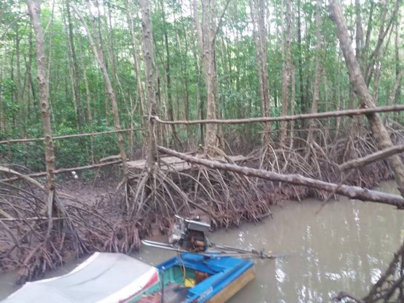 Điểm du lịch cộng đồng Nguyễn Hùng, khám phá thiên nhiên Đất Mũi