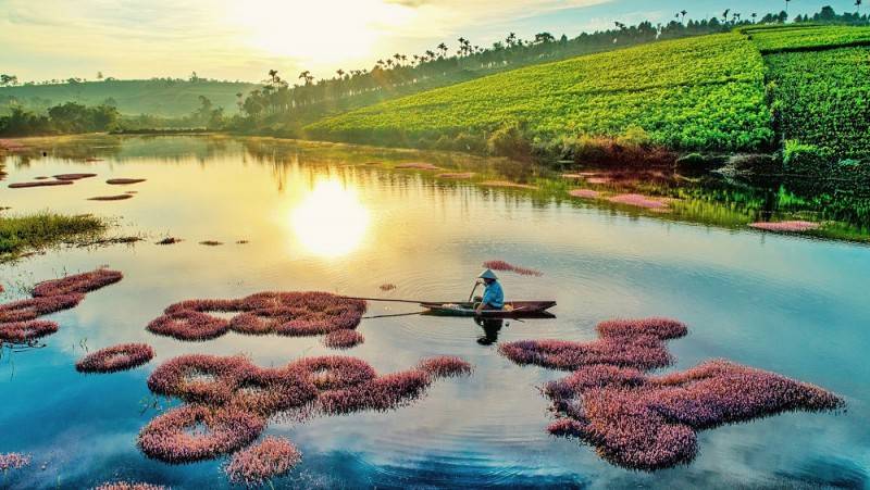 Độc đáo Hồ tảo hồng ở B'lao đẹp như tranh tại Lâm Đồng