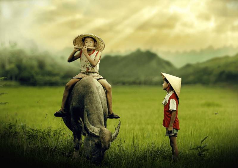 Độc đáo lễ hội rước Mục Đồng Đà Nẵng dành riêng cho trẻ em chăn trâu nơi cồn cỏ