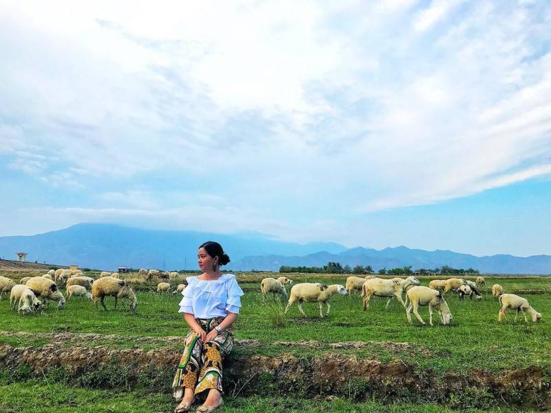 Đồng cừu An Hòa, điểm đến đầy thú vị trong hành trình về với Ninh Thuận